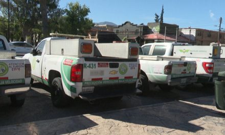 Los Ángeles Verdes en vacaciones aumentan presencia en las carreteras
