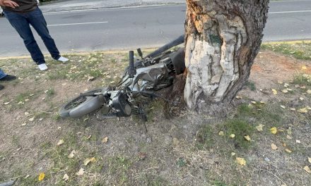 Saltillo: Motociclista sufre fuerte accidente en bulevar Nazario Ortiz Garza