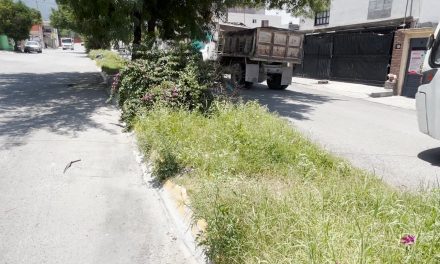 Piden atender vialidad tras baches y basura en calzada San Javier