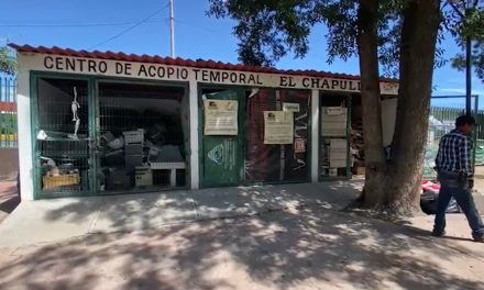 Recicla tus libros y cuadernos en el parque ecológico El Chapulín