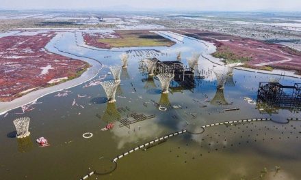 Lago de Texcoco alcanza 78% de su capacidad y recupera función ecológica tras cancelación del NAIM