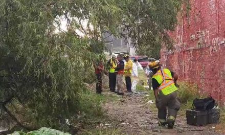 Hombre pierde la vida tras ser arrastrado por la corriente de agua del arroyo en la colonia Condesa