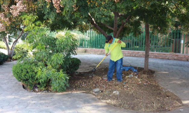Gobierno de Saltillo limpia el arroyo La Tórtola
