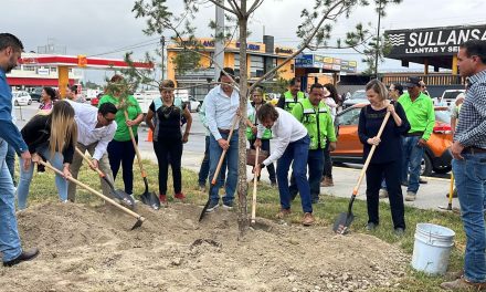 Javier Díaz realiza la plantación del árbol 10 mil