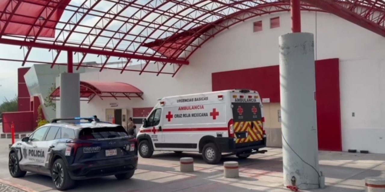 Ataca viuda negra a mujer en Saltillo