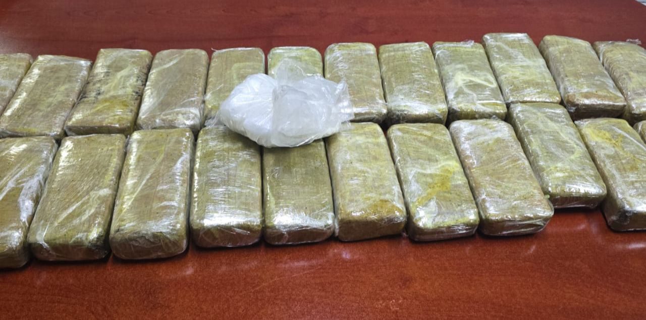 Incautan 12 kilogramos de marihuana en Frontera, Coahuila