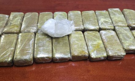 Incautan 12 kilogramos de marihuana en Frontera, Coahuila