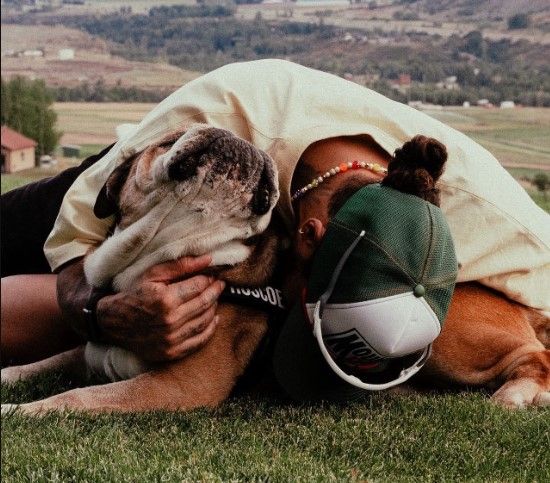 Lewis Hamilton de luto: Muere Roscoe, su inseparable bulldog
