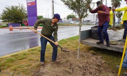 Reforestación llega al bulevar Colosio
