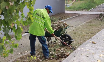 Refuerza Ayuntamiento bacheo al sur de Saltillo