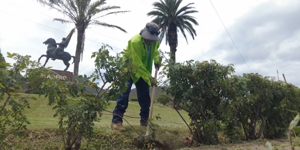 Refuerza Javier Díaz acciones de reforestación en la ciudad
