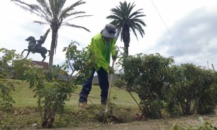 Refuerza Javier Díaz acciones de reforestación en la ciudad