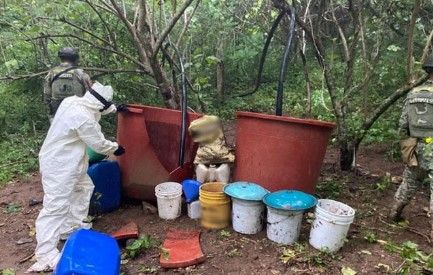 Inhabilitan tres narcolaboratorios en Sinaloa