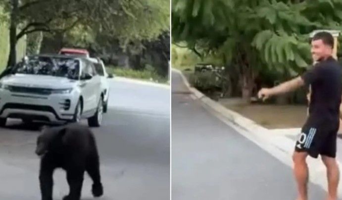 Oso negro sorprende al futbolista de Tigres, Ángel Correa, y su familia afuera de su casa