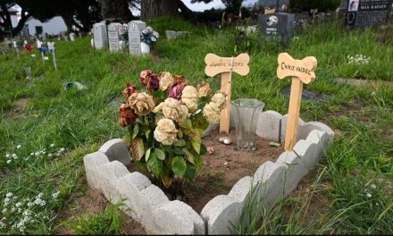 Piedras Negras contará con su primer cementerio municipal para mascotas