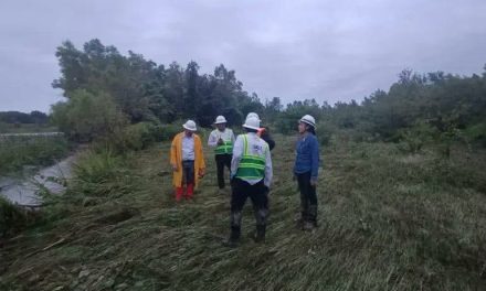 Más de 157 mil hogares sin electricidad en Chiapas por colapso de torre de transmisión