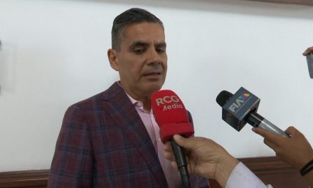 Denunciarán por la vía penal a un bar en Saltillo por obligar a un caballo a beber alcohol