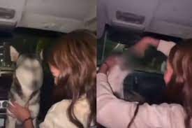 Indignación en redes: Jóvenes en Chihuahua se graban dando alcohol a una perra callejera entre burlas