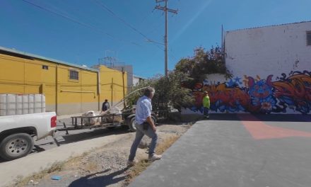 Intensifica Javier Díaz acciones de reforestación en la colonia Nazario Ortiz