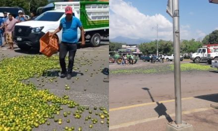 Video: Productores en Michoacán protestan arrojando limones a la calle