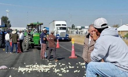 Productores de maíz niegan acuerdo informado por Claudia Sheinbaum en la ‘Mañanera del Pueblo’