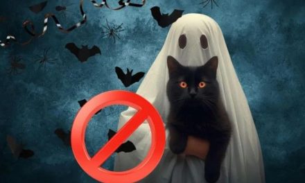 La ciudad de Paraguay que prohibió el Halloween por ‘usar símbolos vinculados a la muerte’