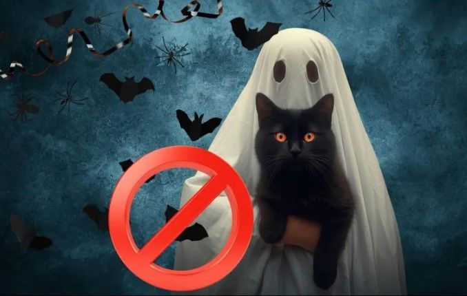 La ciudad de Paraguay que prohibió el Halloween por ‘usar símbolos vinculados a la muerte’