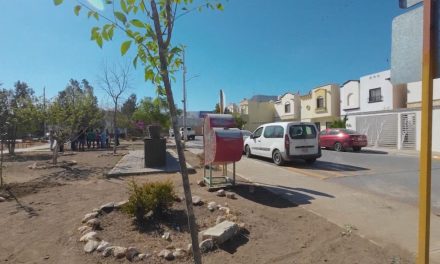 Realiza Saltillo intensa jornada de reforestación en Portal de Agaves