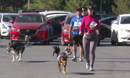 Realiza SEMA ‘Carrera Perrona’ y Feria del Bienestar Animal en Saltillo