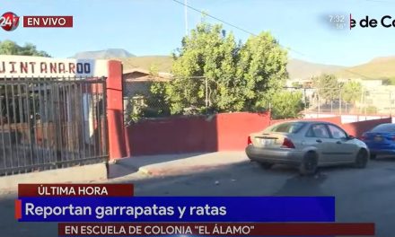 Niños regresan a clases en primaria de Saltillo tras plaga de ratas y garrapatas