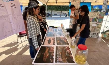 Simas Torreón celebra el Día Interamericano del agua con feria y concurso de baile
