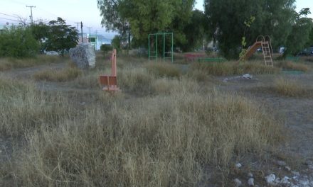 Solicitan atención a las plazas de la colonia Privada La Torre