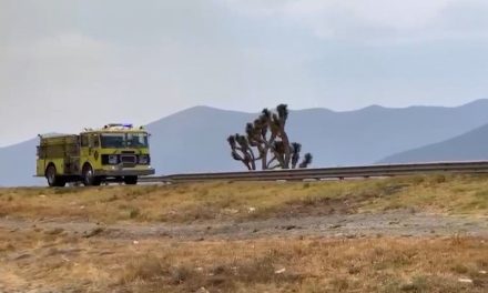 Termina temporada de incendios forestales en Coahuila