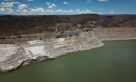 Presas de la Laguna llegan a niveles críticos