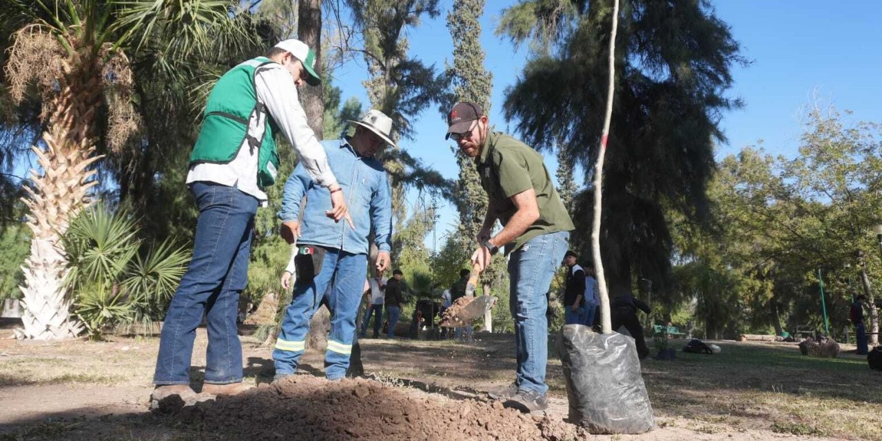 Realizan jornada de reforestación en el Bosque Venustiano Carranza de Torreón