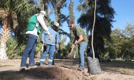 Realizan jornada de reforestación en el Bosque Venustiano Carranza de Torreón