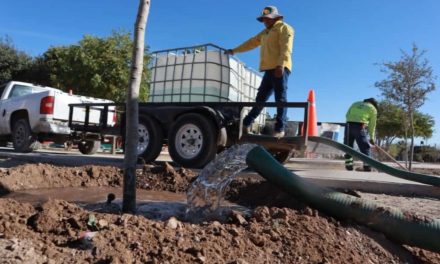Atiende Saltillo con agua tratada áreas verdes