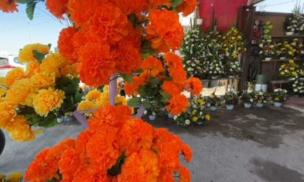 Aumentan en cinco pesos por flor al exterior de los panteones