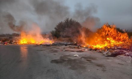 Se registra incendio durante la mañana en la Saltillo 2000