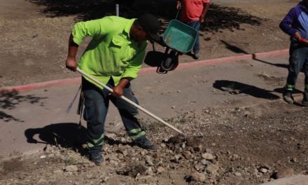 Intensifica Saltillo acciones de limpieza en plazas públicas de la ciudad