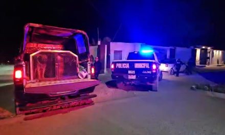 Rápida intervención policial permite recuperar vehículo robado en Arteaga