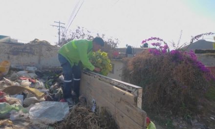 Realiza ‘Aquí Andamos’ limpieza profunda en arroyo de Valle de las Flores Popular
