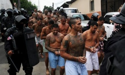 Condenan a 248 integrantes de la MS-13 a penas de hasta 1,335 años de prisión en El Salvador