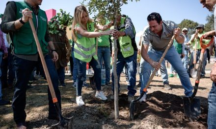 Reforesta Javier Díaz más de 15 mil árboles en Saltillo