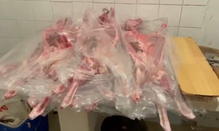 Al alza la venta del cabrito en Saltillo para las cenas de fin de año