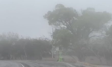 Saltillo: Alerta con el recibo de CFE en invierno