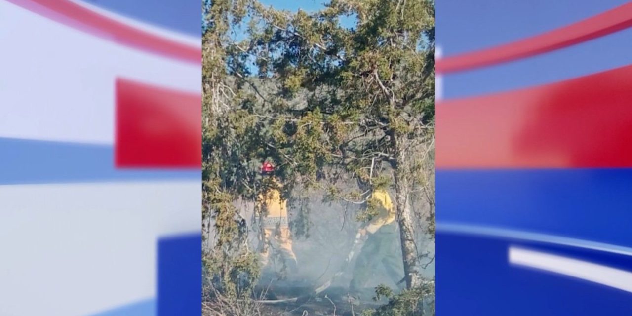 Controlan incendio forestal en los límites de Saltillo y Arteaga