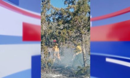 Controlan incendio forestal en los límites de Saltillo y Arteaga