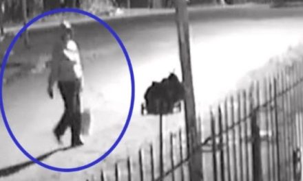 Video: Captan a mujer abandonando a un recién nacido en una bolsa de basura
