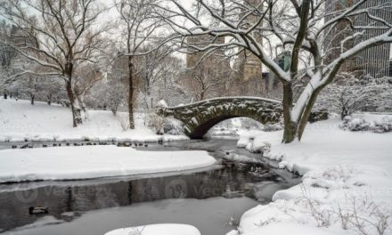 Central Park se cubre de blanco por tormenta invernal